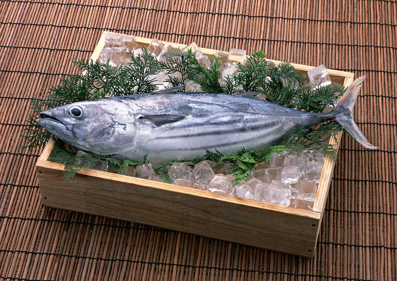 海鲜,无人,横图,俯视,室内,特写,白天,桌面,桌子,叶子,一条,阴影,反射,木制,木盒,影子,冰,冰块,绿叶,鲣鱼,冷冻,水产,海洋生物,木制品,容器,嫩叶,寒冷,冷藏,储藏,死亡,冰冷,储存,水生动物,海产品,水生物,海底动物,小金枪鱼,炸弹鱼,保鲜,殒命,灭亡,叶,叶片,彩图,高角度拍摄,全身,贮存