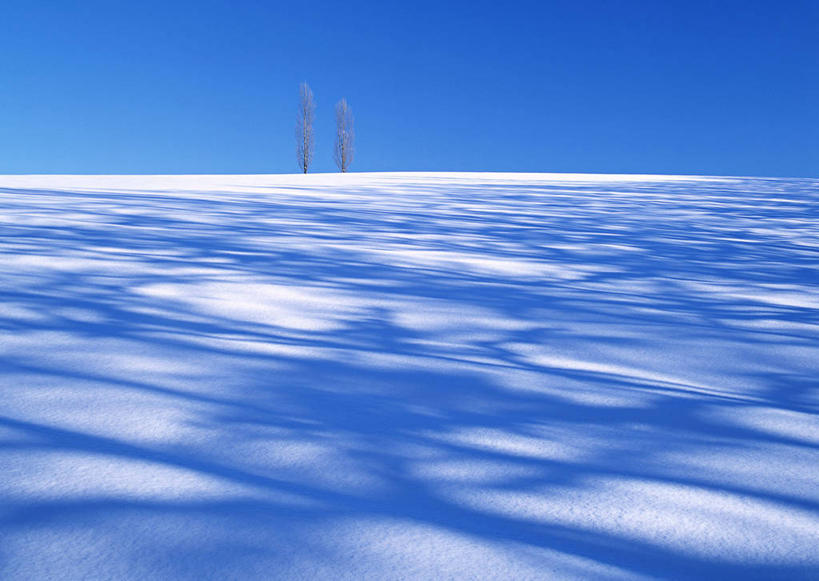 无人,横图,室外,白天,正面,旅游,度假,美景,雪,植物,大雪,北海道,日本,亚洲,阴影,光线,影子,积雪,景观,雪景,冬季,冬天,娱乐,树,树木,蓝色,绿色,蓝天,天空,阳光,自然,天,享受,休闲,景色,放松,寒冷,生长,晴朗,成长,自然风光,东亚,万里无云,日本国,北海道地方,北海道岛,美瑛町,严寒,美瑛,道北,晴空,晴空万里,彩图,上川郡,上川支厅