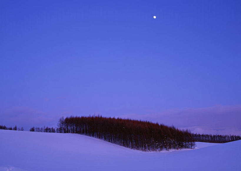 无人,横图,室外,夜晚,正面,旅游,度假,美景,森林,树林,雪,植物,大雪,北海道,日本,亚洲,积雪,景观,雪景,月亮,冬季,冬天,月光,娱乐,树,树木,蓝色,绿色,蓝天,天空,自然,天,享受,休闲,景色,放松,寒冷,生长,晴朗,成长,明亮,自然风光,东亚,万里无云,日本国,北海道地方,北海道岛,美瑛町,严寒,皎洁,美瑛,道北,晴空,晴空万里,彩图,上川郡,上川支厅