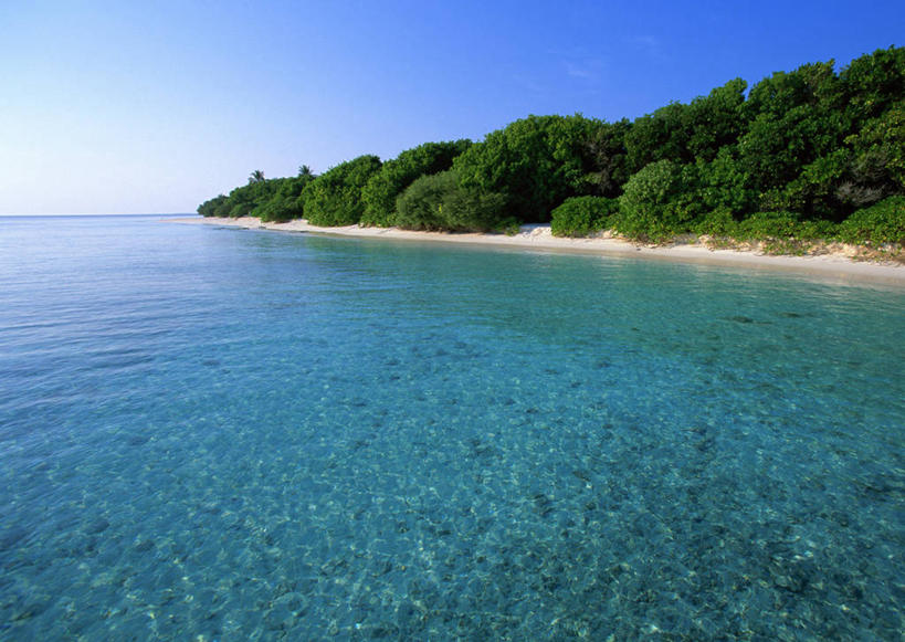 无人,横图,室外,白天,正面,旅游,度假,海浪,海洋,美景,沙滩,树林,植物,棕榈树,叶子,马尔代夫,亚洲,阴影,光线,沙子,影子,海岸,景观,浪花,水平线,辽阔,绿叶,海平线,沙地,娱乐,树,树木,蓝色,绿色,蓝天,天空,阳光,自然,海水,天,享受,休闲,广阔,嫩叶,景色,放松,生长,晴朗,成长,一望无际,自然风光,南亚,海景,棕榈叶,万里无云,马尔代夫共和国,无边无际,一马平川,叶,叶片,大海,风浪,海,海水的波动,海滩,近岸浪,涌浪,晴空,晴空万里,彩图,索尼娃姬莉酒店,水天相接,水天一线