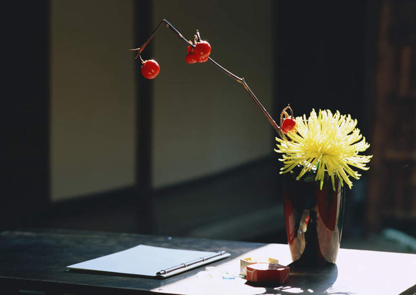 无人,横图,室外,特写,白天,正面,爱情,智慧,美景,植物,门,桌面,桌子,浆果,花瓶,水果,拉门,阴影,新鲜,艺术,光线,木制,影子,陶瓷,景观,桑葚,桑椹,生食,食品,果实,枝条,记事本,陶瓷制品,文化,移门,树,树木,树枝,食物,黄色,阳光,自然,插花,本子,笔记本,木制品,瓶子,覆盆子,菊花,景色,有机食品,绿色食品,插花艺术,吉祥,创造,自然风光,创作,想象,高洁,长寿,障子,纸门,拉窗,纸拉窗,纸拉门,怀恋,清净,真情,寿客,秋菊,虬枝,枝杈,彩图