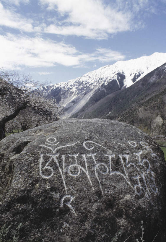 无人,竖图,室外,白天,正面,旅游,度假,石头,美景,山,山脉,峡谷,雪,雪山,植物,大雪,中国,亚洲,许多,阴影,光线,纹路,标志,石子,文字,纹理,影子,字符,字母,冰,积雪,景观,山峰,雪景,冬季,冬天,山谷,山峦,很多,娱乐,标识,西藏,树,树木,蓝色,绿色,蓝天,天空,阳光,自然,群山,天,享受,休闲,景色,放松,寒冷,生长,晴朗,成长,连绵,冰冷,绵延,岩层,自然风光,山岭,藏,东亚,西藏自治区,万里无云,肌理,中华人民共和国,西南地区,严寒,冰凉,酷寒,凛冽,凛凛,极冷,阿里,阿里市,联贯,石块,岩石,晴空,晴空万里,彩图
