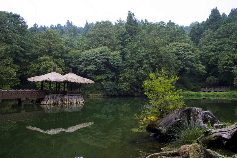 无人,横图,室外,白天,正面,旅游,度假,湖,湖泊,美景,水,植物,台湾,中国,亚洲,阴影,光线,瓦片,影子,柱子,亭子,屋顶,屋檐,湖面,景观,水流,水面,顶棚,娱乐,檐,树,树木,绿色,倒影,天空,阳光,自然,凉亭,湖水,天,享受,休闲,景色,放松,生长,成长,倒映,自然风光,东亚,嘉义,阿里山国家风景区,阿里山,港澳台,中华人民共和国,台湾省,嘉义市,反照,彩图,台