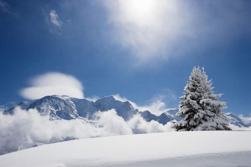 无人,横图,室外,白天,仰视,美景,山,雪,雪山,植物,大雪,松树,阴影,光线,影子,冰,积雪,景观,山峰,雪景,云,云朵,冬季,冬天,山峦,云彩,树,树木,蓝色,绿色,白云,蓝天,天空,阳光,自然,天,景色,寒冷,生长,晴朗,成长,雪崩,冰冷,自然风光,坚定,长寿,严寒,冰凉,酷寒,凛冽,凛凛,贞洁,极冷,晴空,彩图,低角度拍摄