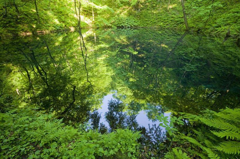 无人,公园,横图,俯视,室外,白天,旅游,度假,湖,湖泊,美景,森林,树林,水,植物,日本,亚洲,阴影,光线,影子,湖面,景观,水流,水面,娱乐,树,树木,绿色,倒影,阳光,自然,湖水,享受,休闲,景色,放松,生长,成长,倒映,自然风光,东亚,本州,本州岛,日本国,青森,青森县,东北地方,反照,彩图,高角度拍摄,国定公园,津轻国定公园,准国家公园