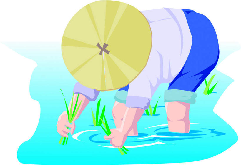 东方人,一个人,无人,农民,农田,站,横图,插画,室内,白天,白色背景,侧面,工作服,制服,庄稼,农作物,数码,科技,亚洲,仅一个男性,仅一个人,仅一个中年男性,弯腰,种植,阴影,网络,田地,谷物,水稻,高光,几何,计算机图形,合成,图画,注视,黄种人,稻,画,观察,看,站着,观看,电脑合成图,数码合成图,察看,关注,漫画,秧苗,写实,具体,具象,弯身,工作制服,男人,男性,中年男性,亚洲人,佃农,农场主,农夫,农工,乡下人,小农,庄稼人,站立,彩图,全身,工作套服,耕地,庄稼田