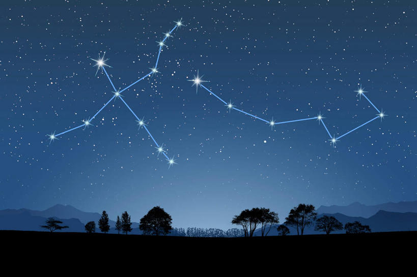 无人,横图,室内,白天,夜晚,仰视,数码,宇宙,科技,星空,植物,夜景,阴影,网络,高光,几何,计算机图形,合成,树,树木,绿色,自然,星座,生长,成长,电脑合成图,数码合成图,天文,占卜,天文学,写实,具体,具象,星相,占星,天鹅座,小熊座,星夜,夜空,彩图,低角度拍摄
