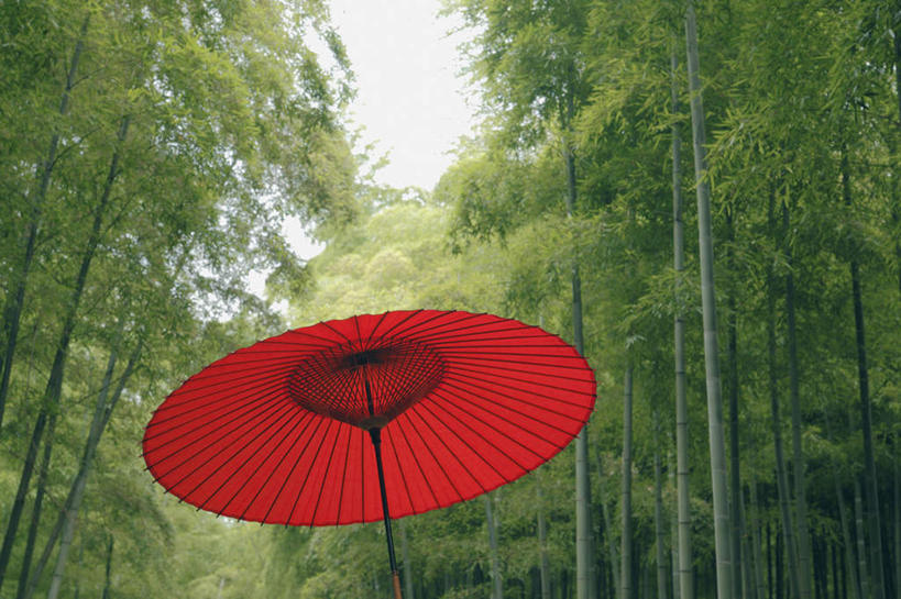 无人,横图,室外,特写,白天,仰视,旅游,度假,幸福,纯洁,美景,森林,树林,植物,竹子,京都,日本,亚洲,一把,伞,雨伞,纸伞,景观,云,云朵,古典,云彩,油纸伞,文化,娱乐,阳伞,树,树木,红色,蓝色,绿色,白云,蓝天,天空,自然,天,享受,休闲,景色,放松,京都府,生长,成长,纪念,吉祥,高雅,自然风光,古朴,东亚,本州,本州岛,日本国,近畿地方,近畿,奉献,质朴,正直,担当,平安,竹,彩图,低角度拍摄,奋进,操守,四君子,岁寒三友,性坚,虚怀,虚心,善群,卓尔