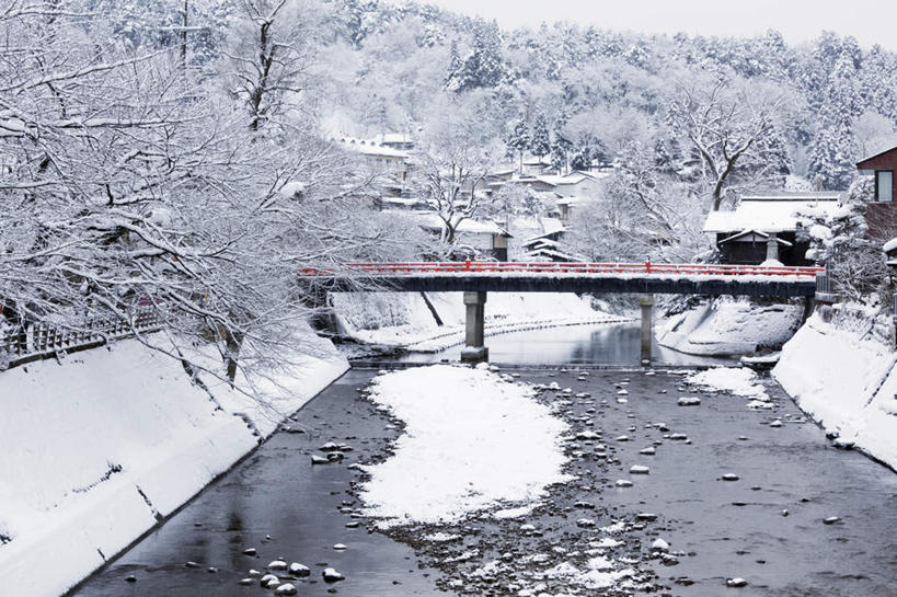 无人,家,栏杆,横图,俯视,室外,白天,旅游,度假,河流,石头,美景,树林,水,雪,植物,大雪,两根,许多,阴影,光线,石子,影子,房屋,屋子,河水,积雪,景观,水流,雪景,冬季,冬天,围栏,桥,桥墩,河床,娱乐,石桥,护栏,楼房,拱桥,住宅,栈桥,树,树木,红色,绿色,阳光,自然,享受,休闲,景色,放松,寒冷,生长,成长,人行桥,石拱桥,自然风光,严寒,石块,彩图,高角度拍摄,房子