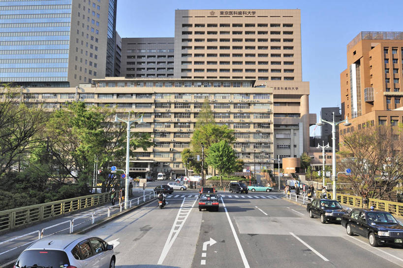 东方人,高楼大厦,横图,室外,白天,正面,度假,美景,植物,城市风光,城市,大厦,道路,建筑,路,路灯,摩天大楼,公路,汽车,照明,东京,日本,亚洲,一排,许多,阴影,整齐,光线,影子,景观,灯光,分界线,停车线,交通,很多,黄种人,娱乐,车,灯,树,树木,排列,蓝色,绿色,蓝天,天空,阳光,自然,交通工具,轿车,天,享受,休闲,景色,放松,生长,晴朗,成长,车行道,车行道分界线,照亮,照明设备,队列,载具,标线,东亚,车行线,本州,万里无云,关东地方,本州岛,日本国,东京都,亚洲人,晴空,晴空万里,马路,半身,彩图,大楼,高层建筑,高楼,摩天楼,东京医科牙科大学,汤岛,文京区