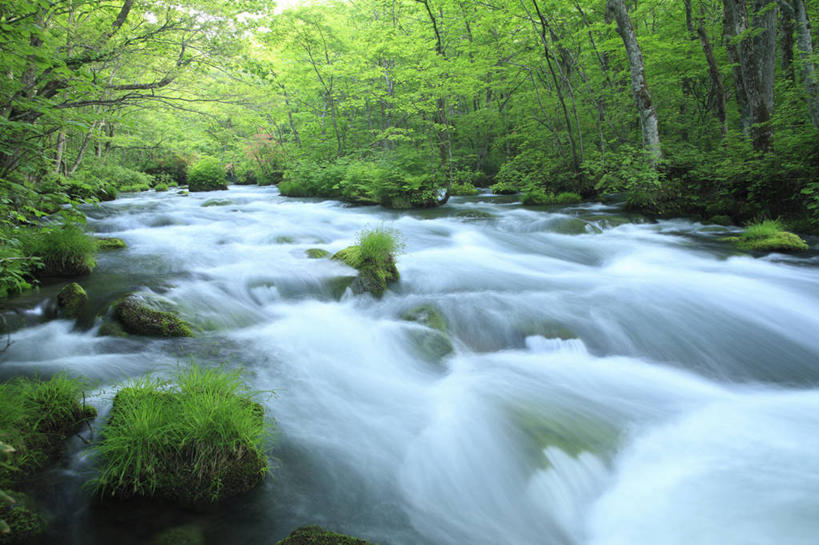 无人,横图,室外,白天,正面,旅游,度假,河流,石头,美景,树林,水,植物,日本,亚洲,阴影,朦胧,模糊,光线,石子,影子,河水,景观,水流,娱乐,树,树木,绿色,阳光,自然,享受,休闲,景色,放松,生长,成长,自然风光,东亚,本州,本州岛,日本国,青森,青森县,东北地方,奥入濑町,奥入濑溪流,石块,彩图,上北郡