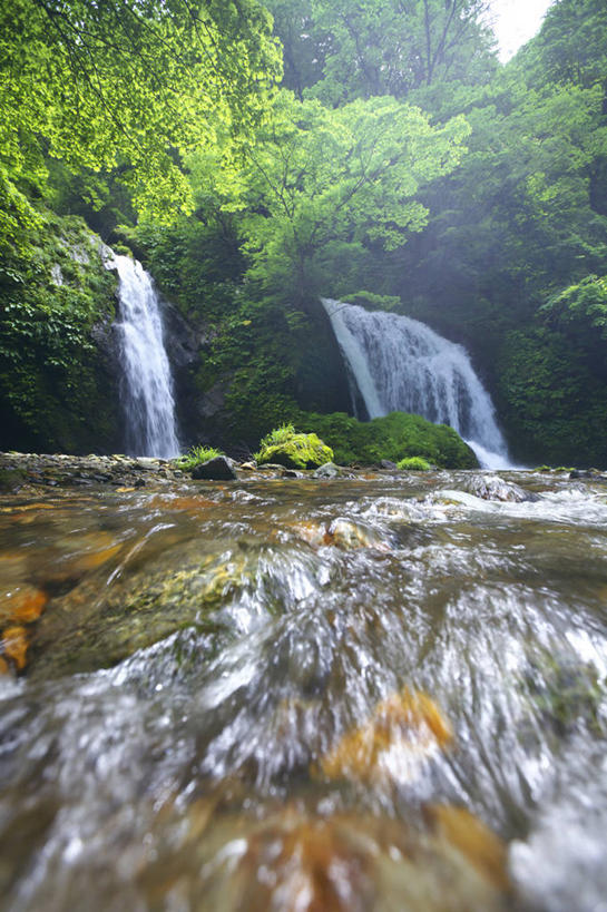 无人,竖图,室外,白天,仰视,旅游,度假,河流,石头,美景,瀑布,森林,山,山脉,树林,水,植物,日本,亚洲,飞溅,溅,石子,液体,河水,景观,山峰,水滴,水流,青苔,苔藓,山峦,娱乐,水珠,树,树木,绿色,小溪,自然,群山,溪水,享受,休闲,景色,放松,生长,成长,喷洒,自然风光,东亚,本州,本州岛,日本国,东北地方,山形,山形县,跌水,石块,岩石,彩图,低角度拍摄,酒田市