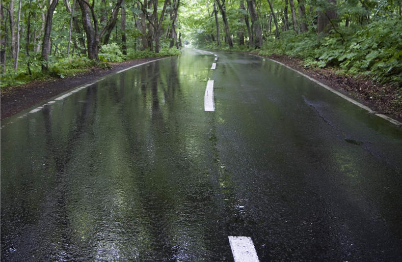 无人,横图,室外,白天,正面,旅游,度假,美景,森林,树林,雨,植物,道路,路,公路,景观,阴天,分界线,停车线,交通,娱乐,树,树木,绿色,白色,自然,享受,休闲,景色,放松,生长,潮湿,成长,车行道,车行道分界线,细雨,自然风光,延伸,标线,车行线,湿润,延长,小雨,马路,彩图