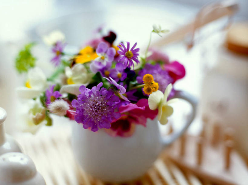 无人,横图,室内,特写,白天,正面,幸福,智慧,桌面,桌子,紫罗兰,花瓶,许多,阴影,朦胧,模糊,艺术,装饰,盛开,反射,影子,陶瓷,陶瓷制品,很多,清凉,花蕾,文化,花,花瓣,花朵,鲜花,一个,紫色,白色,插花,瓶子,夏天,花苞,花蕊,单个,华丽,修饰,插花艺术,点缀,创造,创作,想象,三色紫罗兰,永恒,衬托,美观,雅致,雅观,质朴,美德,纯爱,草紫罗兰,草桂花,彩图