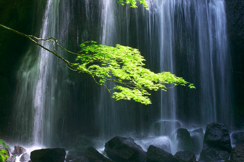 无人,横图,室外,白天,正面,旅游,度假,石头,美景,瀑布,水,峡谷,植物,枫树,叶子,日本,亚洲,阴影,飞溅,溅,光线,石子,液体,影子,景观,水滴,枫叶,绿叶,枝条,山谷,娱乐,水珠,树,树木,树枝,绿色,阳光,自然,享受,休闲,嫩叶,景色,放松,生长,成长,枫树叶,岩层,喷洒,自然风光,东亚,本州,本州岛,日本国,东北地方,福岛,福岛县,槭树,糖枫,糖槭,糖槭树,虬枝,枝杈,叶,叶片,跌水,石块,岩石,彩图,耶麻郡,猪苗代町,猪苗代湖