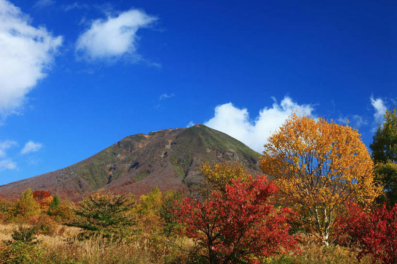 无人,横图,室外,白天,仰视,旅游,度假,草地,草坪,美景,秋季,山,山脉,树林,植物,叶子,日本,亚洲,许多,阴影,光线,影子,景观,山峰,云,云朵,枯叶,落叶,山峦,很多,云彩,娱乐,草,树,树木,黄色,红色,蓝色,绿色,白云,蓝天,天空,阳光,自然,群山,天,享受,休闲,景色,放松,生长,晴朗,成长,自然风光,东亚,本州,本州岛,日本国,青森,青森县,东北地方,弘前,弘前市,叶,叶片,晴空,秋,秋天,彩图,低角度拍摄,岩木山