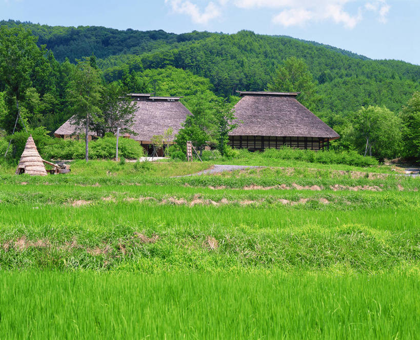无人,博物馆,家,木屋,横图,室外,白天,正面,旅游,度假,石头,美景,森林,山,山脉,树林,植物,标志建筑,地标,建筑,日本,亚洲,阴影,研究,光线,石子,影子,景观,山顶,山峰,云,云朵,山峦,教育,云彩,娱乐,建设,住宅,树,树木,蓝色,绿色,白云,蓝天,天空,阳光,自然,群山,天,享受,休闲,旅游胜地,景色,放松,生长,晴朗,成长,展览,欣赏,自然风光,陈列,东亚,沉积岩,本州,本州岛,日本国,岩手,岩手县,东北地方,颠峰,极峰,典藏,水成岩,石块,岩石,晴空,彩图,茅舍,茅屋,棚屋,小木屋,小屋