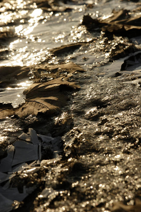 无人,竖图,俯视,室外,特写,白天,海浪,海洋,石头,美景,沙滩,叶子,阴影,朦胧,模糊,光线,沙子,石子,影子,海岸,景观,浪花,枯叶,落叶,沙地,阳光,自然,海水,景色,自然风光,海景,叶,叶片,大海,风浪,海,海水的波动,海滩,近岸浪,石块,岩石,涌浪,彩图,高角度拍摄