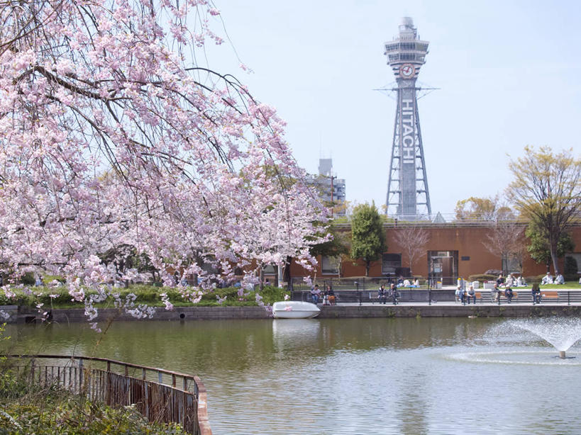 无人,横图,室外,白天,正面,旅游,度假,幸福,纯洁,草地,草坪,植物,标志建筑,地标,建筑,樱花,日本,亚洲,阴影,波纹,盛开,光线,影子,池塘,水池,涟漪,花蕾,娱乐,建设,草,花,花瓣,花朵,鲜花,树,树木,粉色,蓝色,绿色,倒影,蓝天,水纹,天空,阳光,自然,波浪,天,花苞,花蕊,享受,休闲,旅游胜地,放松,大阪,生长,晴朗,成长,等待,倒映,生命,东亚,本州,万里无云,大阪府,本州岛,日本国,近畿地方,近畿,水晕,仙樱花,福岛樱,青肤樱,高尚,县厅,通天阁,大阪市,热烈,反照,浪速区,晴空,晴空万里,荆桃,彩图