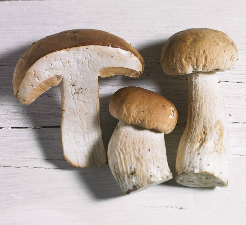 无人,横图,俯视,室内,特写,白天,餐桌,桌子,蔬菜,阴影,新鲜,反射,木制,影子,菌菇,蘑菇,食品,菌类,中药,食物,三个,木制品,食用菌,有机食品,绿色食品,餐台,药材,牛肝菌,中药材,美味牛肝菌,大脚菇,彩图,高角度拍摄