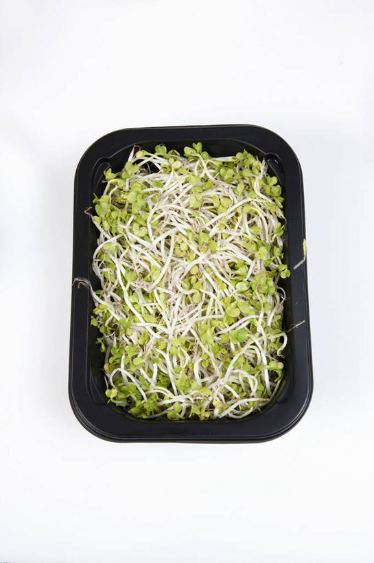 无人,竖图,俯视,室内,特写,白天,白色背景,餐桌,桌子,蔬菜,许多,阴影,新鲜,反射,影子,塑料,豆芽,食品,很多,盒子,食物,一个,容器,塑料制品,摄影,有机食品,绿色食品,影棚,单个,餐台,储藏,储存,豆芽菜,芽苗菜,彩图,高角度拍摄,影棚拍摄,拍摄,贮存
