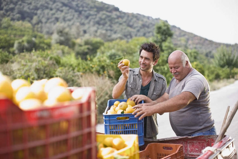 西方人,两个人,家庭,父亲,儿子,果园,站,笑,微笑,露齿笑,横图,室外,白天,正面,田园,植物,道路,路,公路,柑橘,水果,欧洲,欧洲人,一堆,许多,握,堆叠,堆积,服装,新鲜,篮子,生食,食品,果实,果树,交通,很多,拿,拿着,注视,休闲装,树,树木,食物,衣服,绿色,自然,观察,看,站着,休闲,温暖,温馨,父子,一家人,休闲服,父爱,握着,服饰,有机食品,绿色食品,生长,成长,观看,堆,和睦,察看,关注,田庄,园子,老年男性,男人,男性,中年男性,白种人,马路,橘子,桔子,橙子,橙,站立,半身,彩图,融洽