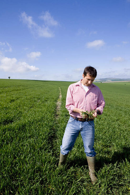 西方人,一个人,站,竖图,室外,白天,正面,草地,草坪,植物,鞋子,欧洲,欧洲人,仅一个男性,仅一个人,仅一个中年男性,握,阴影,服装,裤子,光线,影子,雨鞋,雨靴,云,云朵,拿,云彩,拿着,注视,牛仔裤,休闲装,靴子,草,衣服,粉色,蓝色,绿色,白云,蓝天,天空,阳光,天,低头,观察,看,站着,休闲,休闲服,握着,服饰,晴朗,观看,察看,关注,胶鞋,男人,男性,中年男性,白种人,晴空,站立,彩图,全身