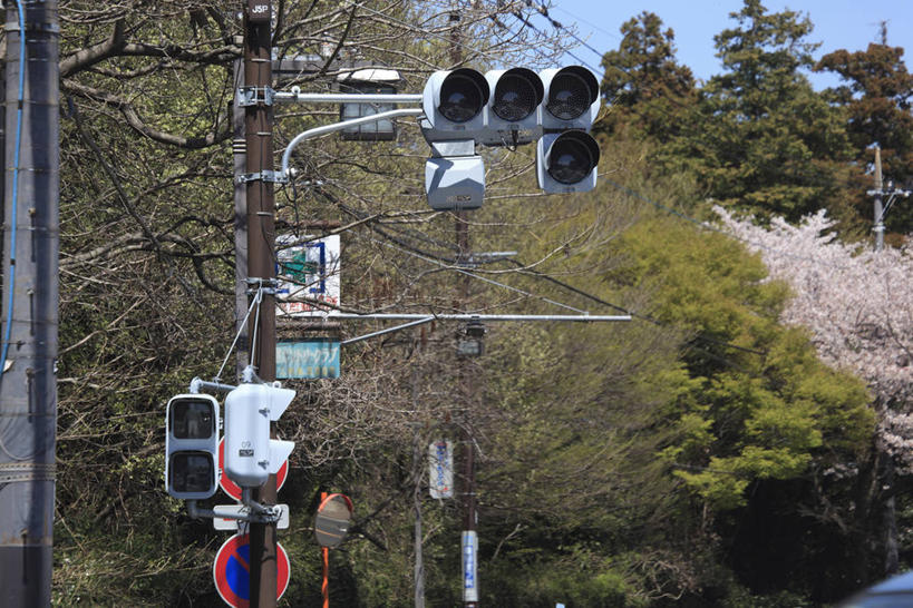 无人,横图,室外,白天,正面,安全,美景,森林,树林,植物,神奈川,日本,亚洲,阴影,光线,影子,景观,红绿灯,信号灯,交通,神奈川县,树,树木,蓝色,绿色,蓝天,天空,阳光,自然,天,景色,警示,生长,晴朗,成长,提示,灾难,自然风光,流通,东亚,交通信号灯,本州,万里无云,行人信号灯,关东地方,本州岛,日本国,晴空,晴空万里,彩图,停电