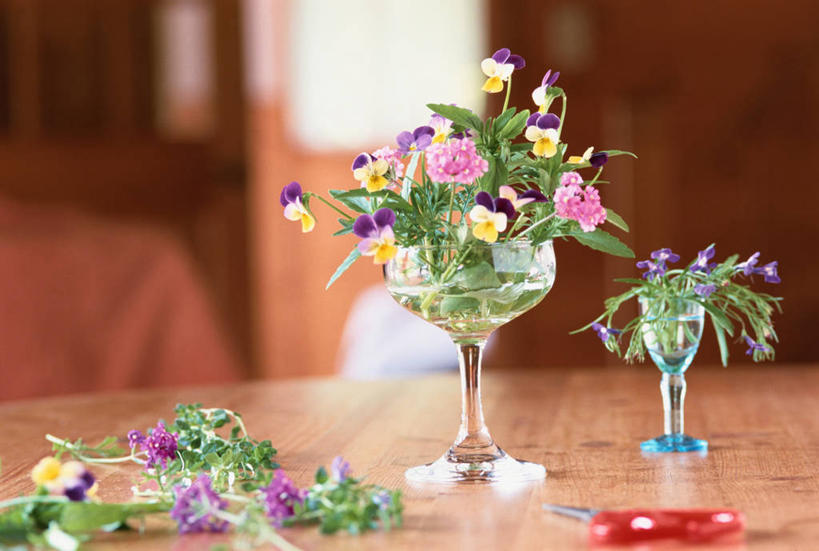 无人,横图,室内,特写,白天,正面,幸福,智慧,桌面,桌子,紫罗兰,杯子,修剪,阴影,朦胧,模糊,艺术,盛开,反射,木制,高脚杯,工具,剪刀,影子,木桌,红酒杯,清凉,花蕾,文化,玻璃制品,花,花瓣,花朵,鲜花,插花,酒杯,木制品,夏天,花苞,花蕊,裁剪,插花艺术,剪子,创造,剪裁,切割,葡萄酒杯,创作,想象,三色紫罗兰,永恒,质朴,美德,纯爱,玻璃杯,草紫罗兰,草桂花,彩图,木桌子