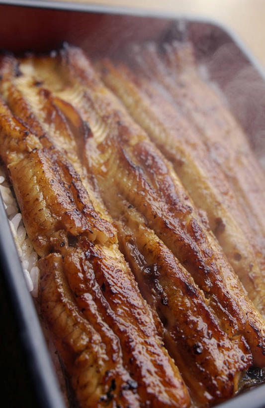 米饭,鳗鱼,无人,竖图,俯视,室内,特写,白天,烹饪,雾,鳗鲡,沸腾,朦胧,模糊,木制,蒸汽,木盒,肉,鱼肉,日本料理,料理,食品,水蒸气,雾气,饭,菜肴,美食,肉类,食物,一个,木制品,容器,日式料理,日式,摄影,鳗鱼饭,佳肴,影棚,单个,储藏,气体,五谷,储存,肉食,河鳗,蒸发,白鳗,青鳝,风馒,白鳝,彩图,高角度拍摄,影棚拍摄,拍摄,贮存