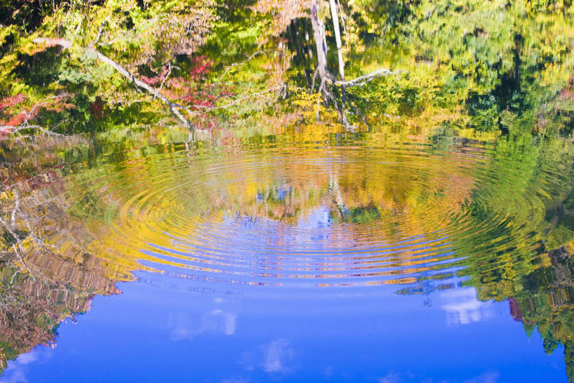 无人,横图,俯视,室外,白天,旅游,度假,河流,美景,水,植物,日本,亚洲,阴影,波纹,光线,影子,河水,景观,水流,娱乐,树,树木,绿色,倒影,水纹,阳光,自然,波浪,享受,休闲,景色,放松,生长,成长,倒映,自然风光,东亚,本州,本州岛,日本国,近畿地方,近畿,滋贺,滋贺县,反照,彩图,高角度拍摄,高岛市