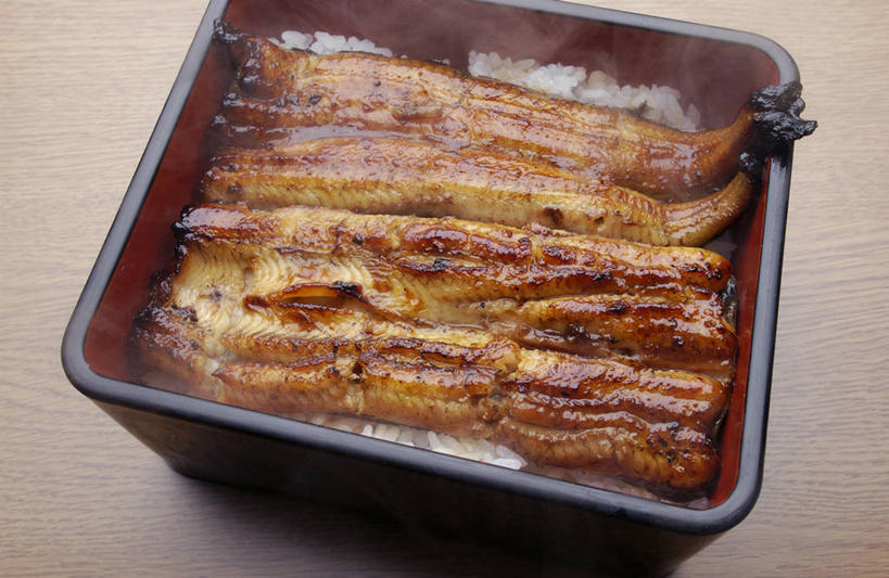 米饭,鳗鱼,无人,横图,俯视,室内,特写,白天,烹饪,雾,餐桌,桌子,鳗鲡,阴影,沸腾,朦胧,模糊,反射,蒸汽,影子,陶瓷,肉,鱼肉,日本料理,料理,食品,陶瓷制品,水蒸气,雾气,饭,菜肴,美食,肉类,食物,一个,容器,碗,日式料理,日式,鳗鱼饭,佳肴,单个,餐台,储藏,气体,五谷,储存,肉食,河鳗,蒸发,白鳗,青鳝,风馒,白鳝,彩图,高角度拍摄,贮存