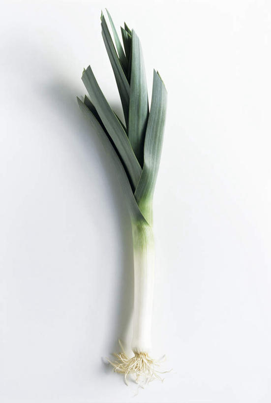 无人,竖图,俯视,室内,特写,白天,白色背景,餐桌,桌子,蔬菜,一根,阴影,新鲜,反射,影子,葱,大葱,青葱,食品,食物,绿色,摄影,有机食品,绿色食品,影棚,餐台,彩图,高角度拍摄,影棚拍摄,拍摄