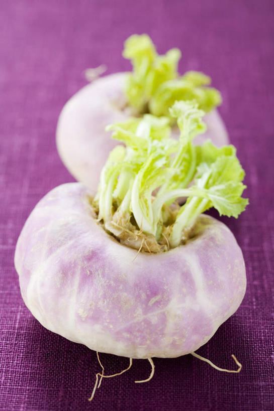 无人,竖图,俯视,室内,特写,白天,植物,餐桌,桌子,蔬菜,叶子,阴影,紫色背景,新鲜,反射,纹理,影子,食品,绿叶,芜菁,食物,两个,绿色,嫩叶,摄影,有机食品,绿色食品,影棚,餐台,肌理,蔓菁,盘菜,大头芥,叶,叶片,叶脉,彩图,高角度拍摄,影棚拍摄,拍摄