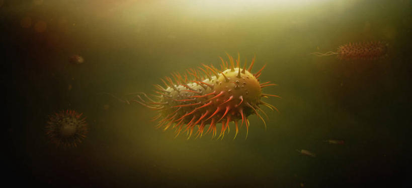 无人,横图,室内,特写,白天,正面,数码,科技,微生物,阴影,漂浮,科学,网络,医学,细胞,高光,几何,计算机图形,合成,黄色,生物,电脑合成图,数码合成图,医疗,病毒,生物学,合成图,写实,具体,具象,寄生,生命体,生物病毒,彩图