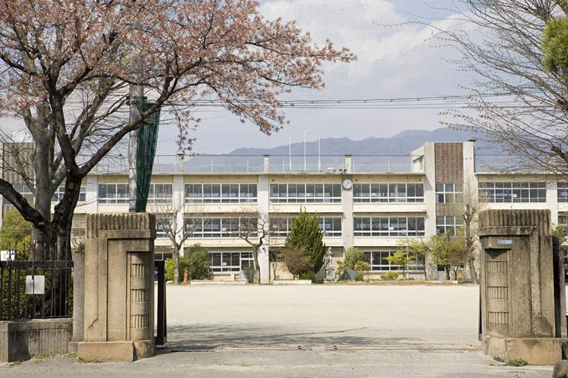 无人,学校,教学楼,横图,室外,白天,正面,植物,门,盛开,电力,电线,线,云,云朵,电能,线路,花蕾,云彩,校园,花,花瓣,花朵,鲜花,树,树木,蓝色,绿色,白云,蓝天,天空,自然,门框,天,花苞,花蕊,教室,生长,晴朗,成长,电,电源,电源线,能量,晴空,彩图,教学大楼