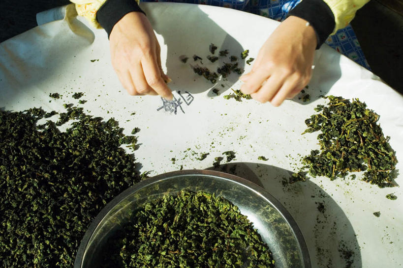 东方人,手,一个人,坐,横图,俯视,室外,特写,白天,幸福,茶,桌子,叶子,亚洲,仅一个年轻女性,仅一个女性,仅一个人,阴影,服装,光线,盆子,影子,茶叶,休闲装,黄种人,娱乐,衣服,阳光,享受,休闲,温馨,手部,休闲服,放松,乐趣,服饰,提神,舒适,挑选,醒脑,年轻女性,女人,女性,亚洲人,叶,叶片,坐着,半身,彩图,高角度拍摄