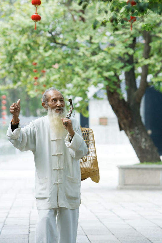 东方人,胡须,一个人,站,竖图,室外,白天,正面,锻炼,运动,武术,植物,道路,路,亚洲,仅一个男性,仅一个人,悬挂,灯笼,小路,交通,黄种人,树,树木,绿色,自然,站着,仅一个老年男性,太极拳,生长,成长,太极,照明设备,体育,老年男性,男人,男性,亚洲人,胡子,络腮胡,站立,半身,彩图,健身
