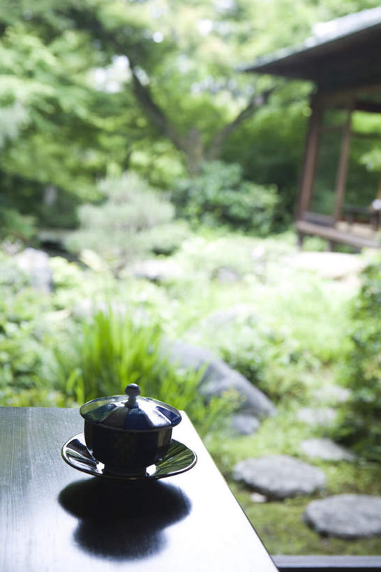 无人,餐厅,竖图,俯视,室外,特写,白天,烹饪,草地,草坪,植物,餐桌,桌子,朦胧,模糊,光线,碟子,盘,影子,石板,角落,日本料理,料理,食品,菜肴,美食,草,树,树木,食物,一个,绿色,阳光,自然,盘子,碟,凉亭,日式料理,日式,佳肴,生长,单个,成长,餐台,茶杯,彩图,高角度拍摄,餐馆,饭店,饭馆