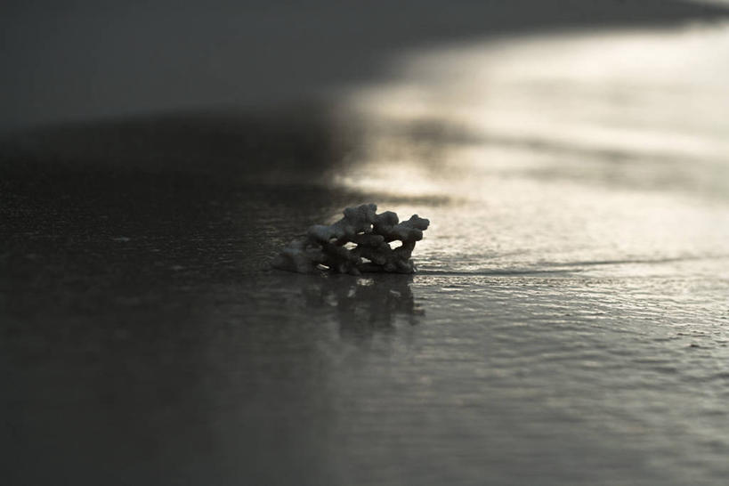 无人,横图,俯视,室外,特写,白天,海浪,海洋,美景,日落,沙滩,阴影,朦胧,模糊,光线,沙子,珊瑚,影子,海岸,景观,浪花,晚霞,霞光,落日,沙地,背光,珊瑚礁,一个,阳光,自然,海水,黄昏,景色,彩霞,单个,自然风光,逆光,海景,海底礁,夕照,薄暮,大海,风浪,海,海水的波动,海滩,礁,近岸浪,岩石,涌浪,夕阳,彩图,高角度拍摄,傍晚,斜阳