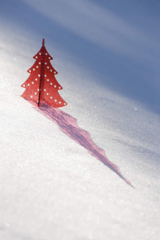 无人,竖图,室外,特写,白天,正面,美景,雪,大雪,一棵,阴影,朦胧,模糊,装饰,光线,影子,塑料,积雪,景观,雪景,冬天,圣诞树,红色,蓝色,蓝天,天空,阳光,自然,天,景色,华丽,修饰,点缀,自然风光,衬托,美观,雅致,雅观,彩图