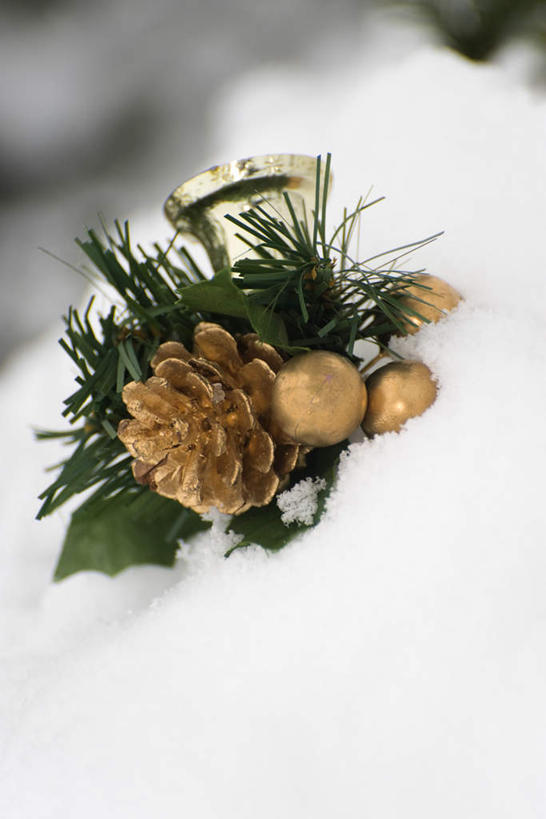 无人,竖图,俯视,室外,特写,白天,雪,大雪,松树,圣诞节,节日,朦胧,模糊,庆祝,装饰,积雪,雪景,冬天,文化,装饰品,一个,庆典,单个,纪念,华丽,修饰,点缀,衬托,美观,雅致,雅观,彩图,高角度拍摄
