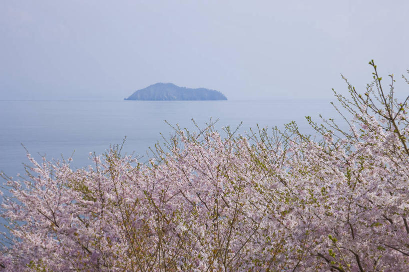 无人,横图,室外,白天,正面,旅游,度假,幸福,纯洁,岛屿,海浪,海洋,石头,美景,植物,樱花,日本,亚洲,阴影,朦胧,模糊,盛开,光线,石子,影子,岛,景观,浪花,花蕾,娱乐,花,花瓣,花朵,鲜花,树,树木,粉色,蓝色,绿色,蓝天,天空,阳光,自然,海水,天,花苞,花蕊,享受,休闲,景色,放松,生长,晴朗,成长,等待,生命,自然风光,海景,东亚,沉积岩,本州,万里无云,本州岛,日本国,近畿地方,近畿,滋贺,滋贺县,仙樱花,福岛樱,青肤樱,高尚,热烈,水成岩,长滨,长滨市,大海,风浪,海,海水的波动,近岸浪,列岛,群岛,石块,岩石,涌浪,诸岛,晴空,晴空万里,荆桃,彩图,竹生岛