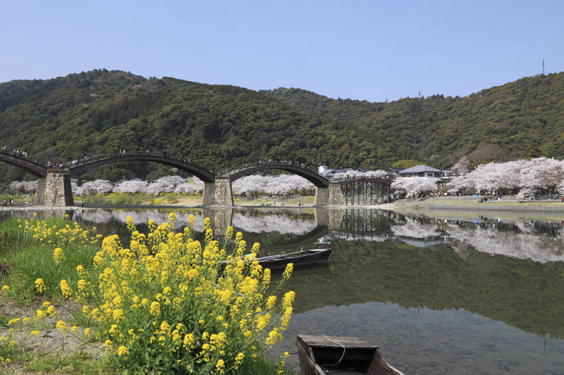 东方人,栏杆,走,横图,室外,白天,正面,旅游,度假,花海,花圃,河流,森林,山,山脉,树林,水,植物,标志建筑,大桥,地标,建筑,立交桥,桥梁,叶子,日本,亚洲,行人,游客,游人,阴影,服装,盛开,光线,影子,河水,山峰,水流,高架,围栏,斜拉桥,桥,山峦,许多人,花蕾,注视,休闲装,黄种人,娱乐,建设,护栏,路人,旅客,花,花瓣,花朵,花卉,鲜花,树,树木,衣服,黄色,蓝色,绿色,蓝天,天空,阳光,自然,花丛,花束,花田,群山,天,花苞,花蕊,观察,看,一群人,享受,休闲,休闲服,旅游胜地,放松,服饰,生长,晴朗,成长,观看,察看,关注,东亚,本州,万里无云,本州岛,日本国,中国地方,山口,山口县,锦带桥,过客,男人,男性,年轻男性,年轻女性,女人,女性,亚洲人,晴空,晴空万里,步行,散步,走路,彩图,全身,岩国,岩国市