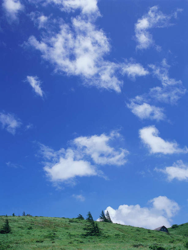 无人,竖图,室外,白天,正面,旅游,度假,美景,森林,树林,植物,长野县,日本,亚洲,景观,云,云朵,云彩,娱乐,树,树木,蓝色,绿色,白云,蓝天,天空,自然,天,夏天,享受,休闲,景色,放松,生长,晴朗,成长,自然风光,东亚,本州,本州岛,日本国,中部地方,长野,晴空,彩图