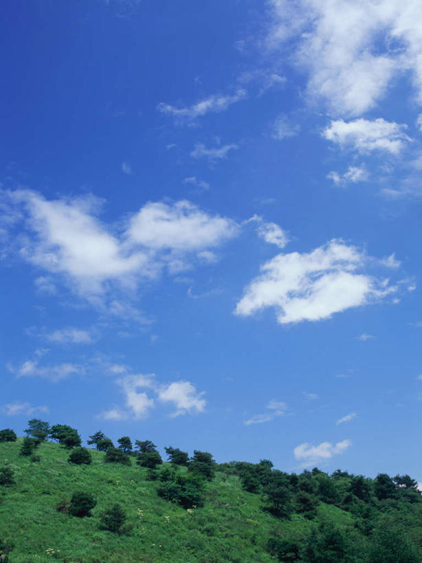 无人,竖图,室外,白天,正面,旅游,度假,美景,森林,树林,植物,长野县,日本,亚洲,景观,云,云朵,云彩,娱乐,树,树木,蓝色,绿色,白云,蓝天,天空,自然,天,夏天,享受,休闲,景色,放松,生长,晴朗,成长,自然风光,东亚,本州,本州岛,日本国,中部地方,长野,晴空,彩图