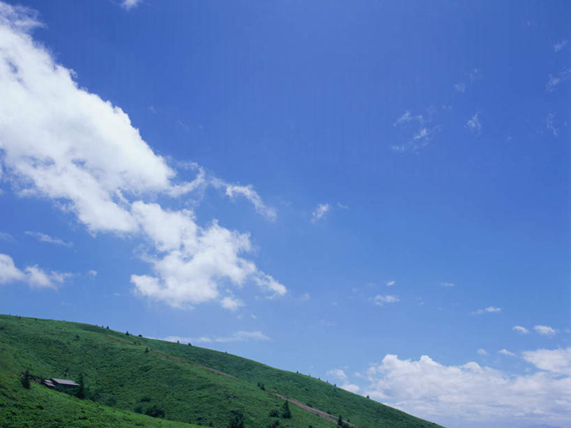 无人,横图,室外,白天,正面,旅游,度假,美景,森林,树林,植物,长野县,日本,亚洲,景观,云,云朵,云彩,娱乐,树,树木,蓝色,绿色,白云,蓝天,天空,自然,天,夏天,享受,休闲,景色,放松,生长,晴朗,成长,自然风光,东亚,本州,本州岛,日本国,中部地方,长野,晴空,彩图