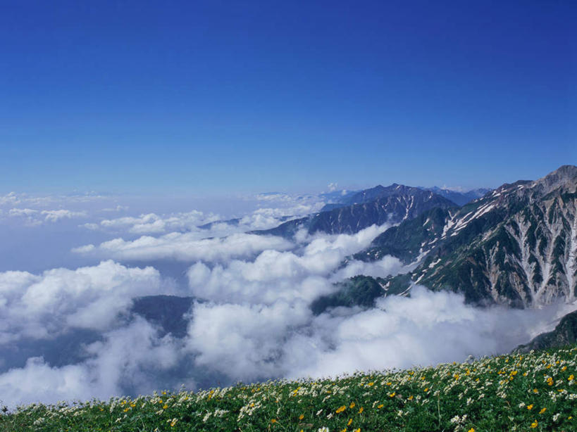无人,横图,室外,白天,正面,旅游,度假,草地,草坪,石头,美景,山,山脉,植物,长野县,日本,亚洲,石子,景观,山顶,山峰,云,云朵,云海,山峦,云彩,娱乐,草,蓝色,绿色,白云,蓝天,自然,群山,夏天,享受,休闲,景色,放松,晴朗,自然风光,东亚,本州,本州岛,日本国,中部地方,长野,颠峰,极峰,石块,岩石,晴空,彩图