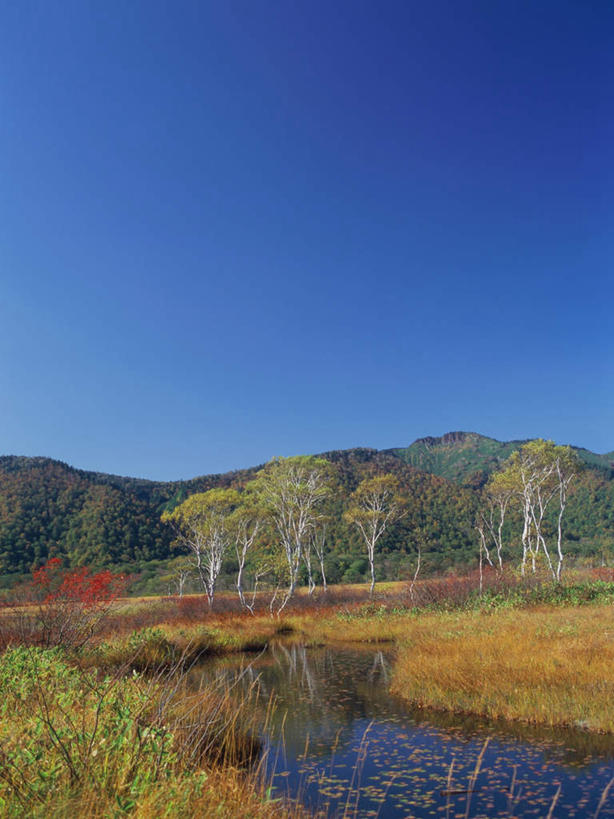 无人,竖图,室外,白天,正面,旅游,度假,草地,草坪,湖,湖泊,美景,森林,树林,水,植物,日本,亚洲,波纹,湖面,景观,水流,水面,涟漪,娱乐,草,树,树木,蓝色,绿色,倒影,蓝天,水纹,天空,自然,波浪,湖水,天,享受,休闲,景色,放松,生长,晴朗,成长,倒映,自然风光,东亚,本州,万里无云,关东地方,本州岛,日本国,水晕,群马,群马县,反照,晴空,晴空万里,彩图