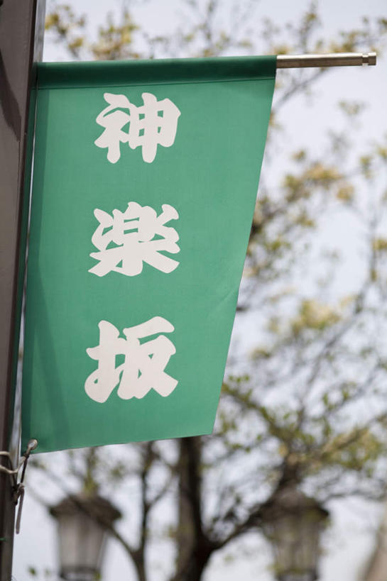 无人,竖图,室外,白天,正面,植物,指示牌,旗帜,东京,日本,亚洲,朦胧,模糊,标志,文字,标识,树,树木,绿色,自然,生长,成长,东亚,本州,关东地方,本州岛,日本国,东京都,彩图